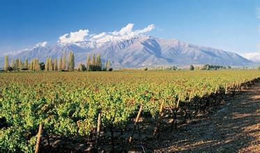 安德森酒庄Anderson Winery