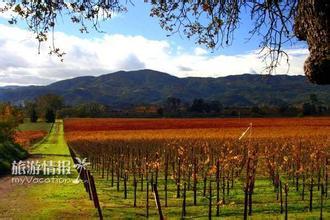 布克酒庄Booker Vineyard