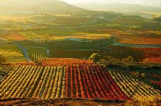 里奥哈圣地亚哥酒庄Bodegas Rioja Santiago