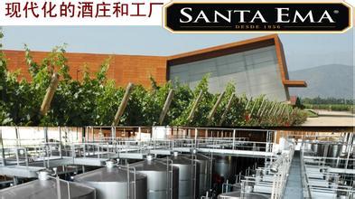 圣艾玛酒庄Vina Santa Ema