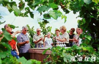 罗宾逊酒庄Robertson Winery