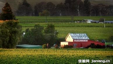 梦朵酒庄Nuevo Mundo Winery