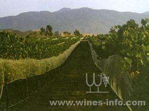 马尔堡星格乐酒庄Marlborough Single Vineyards