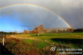 康定酒庄Sociedade Agricola Quinta do Conde