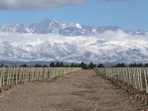 卡萨德尔谷维尼酒庄Bodegas y Vinedos Casa Del Valle