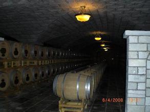 卡斯特费兰多酒庄Bodegas Fernando Castro