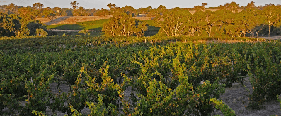 哈那柯克酒庄Harakeke Farm