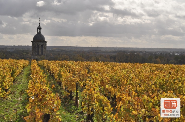 杰西斯·罗宾逊：于埃酒庄 Domaine Huet，白葡萄酒陈酿百年