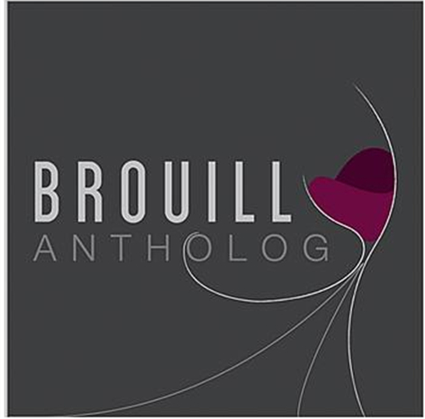 保罗迪博酒庄布鲁依精选干红Domaine Jean-Paul Dubost Brouilly Anthology