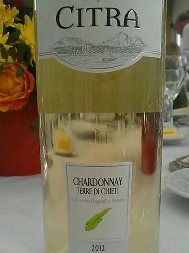 奇特拉霞多丽干白Citra Chardonnay Terre di Chieti