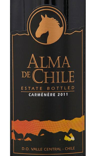 艾玛庄园佳美娜干红ALMA De Chile Caremenere