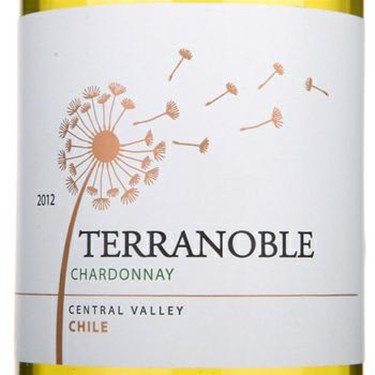 泰瑞贵族霞多丽干白Terranoble Chardonnay