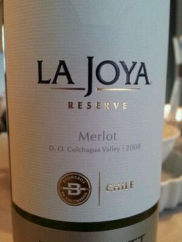 古堡娜凯耶特级梅洛干红Casa La Joya Merlot Reserve