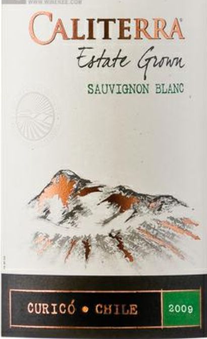 圣地酒园颂维翁布朗克干白Caliterra Estate Grown Sauvignon Blanc