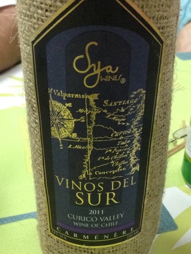 威诺德佳美娜干红Vinos Del Sur Carmenere