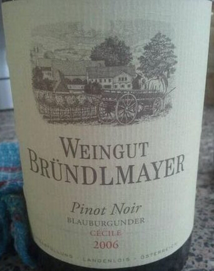 布德梅尔赛喜儿干红Weingut Brundlmayer Cecile - Blauburgunder