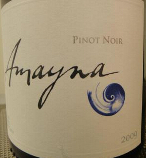 加尔斯蓝色梦幻黑皮诺干红Vina Garces Amayna Pinot Noir