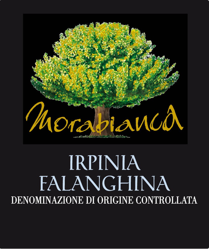 马斯特巴迪洛莫拉比卡干白Mastroberardino Morabianca Falanghina Irpinia