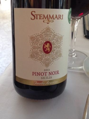 阿兰斯奥黑皮诺干红Feudo Arancio Stemmari Pinot Noir