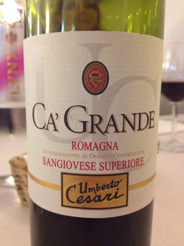 Cesari Ca' Grande Superiore Sangiovese di Romagna