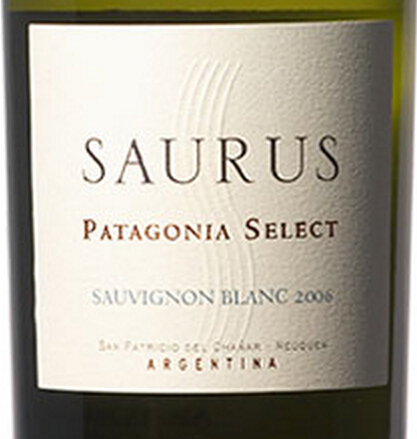 史诺德萨瑞丝巴塔哥尼亚精选长相思干白Familia Schroeder Saurus Patagonia Select Sauvignon Blanc