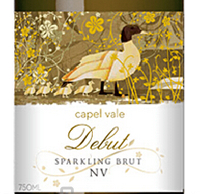 开普谷德比起泡酒Capel Vale Wines Debut Sparkling Brut