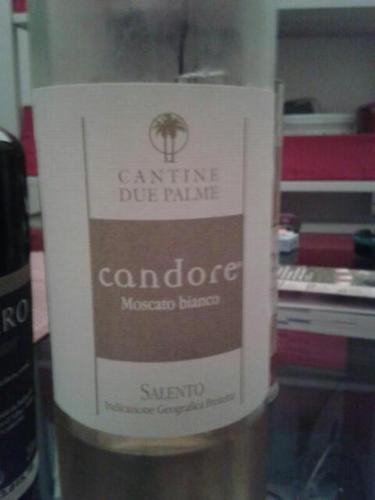 棕榈树康多尔莫斯卡托干白Cantine Due Palme Candore Moscato