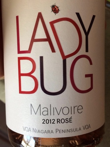 马利瓦尔瓢虫桃红Malivoire Ladybug Rose