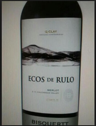 彼斯克提回声梅洛干红Vina Bisquertt Ecos de Rulo Merlot