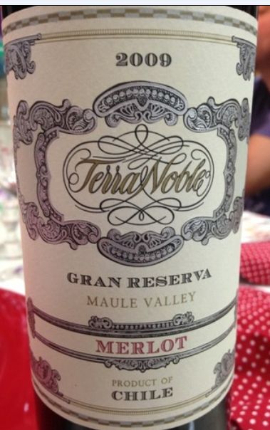 泰瑞贵族顶级珍藏梅洛干红Terra Noble Gran Reserva Merlot