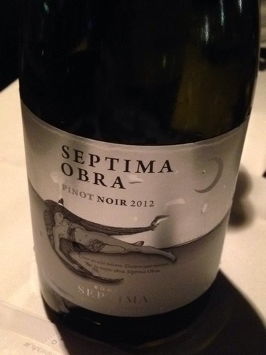 赛普缇玛奥夫拉系列黑皮诺干红Bodega Septima Obra Pinot Noir