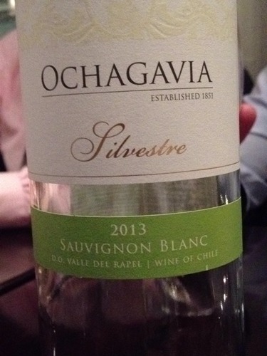 欧查佳维亚希尔维斯特长相思干白Ochagavia Silvestre Sauvignon Blanc