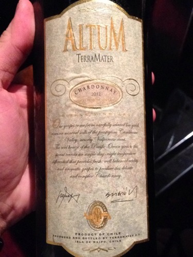 特雷玛特安特兰系列霞多丽干白TerraMater Altum Chardonnay