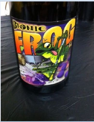 凯尤斯仿生蛙西拉干红Cayuse Bionic Frog Syrah