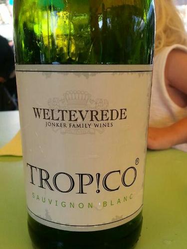 伟铁芙雷德热带型长相思干白Weltevrede Trop co Sauvignon Blanc