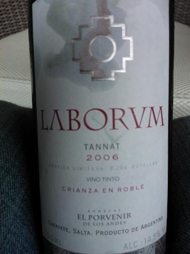 安第斯未来杰作系列丹娜干红Bodegas El Porvenir de Los Andes Laborum Tannat