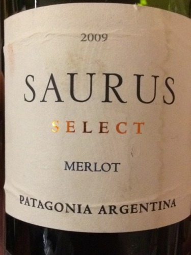 史诺德萨瑞丝巴塔哥尼亚精选梅洛干红Familia Schroeder Saurus Patagonia Select Merlot