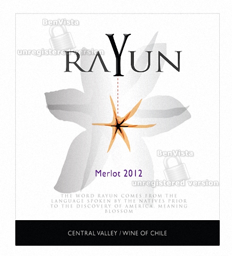 蕾韵梅洛干红Rayun Varietal Merlot