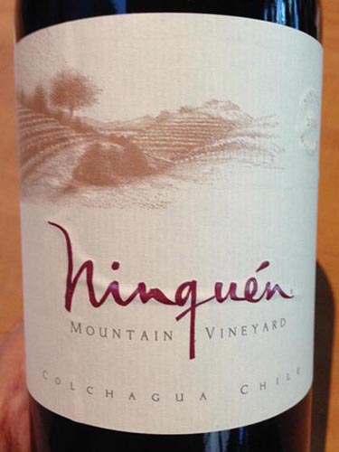 云顶山空加瓜干红Ninquen Mountain Vineyard Colchagua Valley