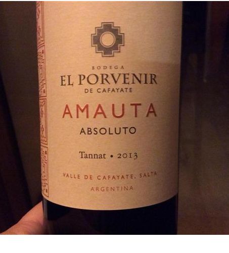 安第斯未来大师系列丹娜干红Bodegas El Porvenir de los Andes Amauta Absoluto Tannat