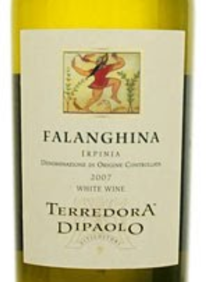 Terredora di Paolo Falanghina Irpinia