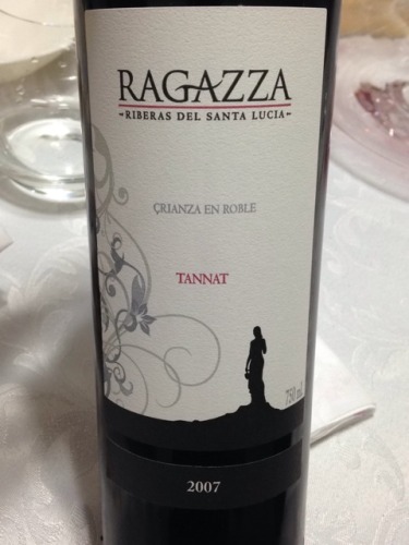 Ragazza Crianza En Roble Tannat