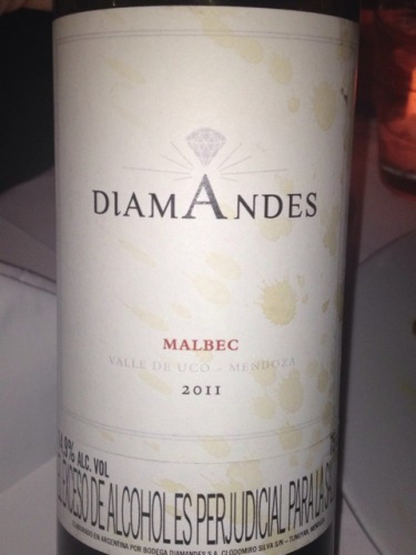 Diam Andina Valle De Uco Mendoza Malbec