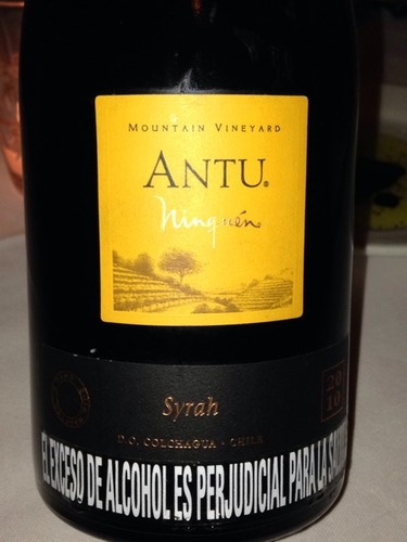 Antu Mountain Colchagua Syrah