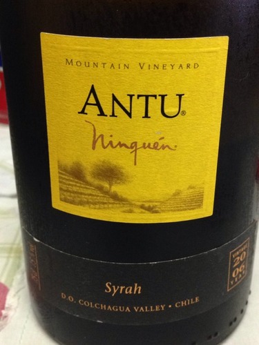 Antu Mountain Colchagua Syrah