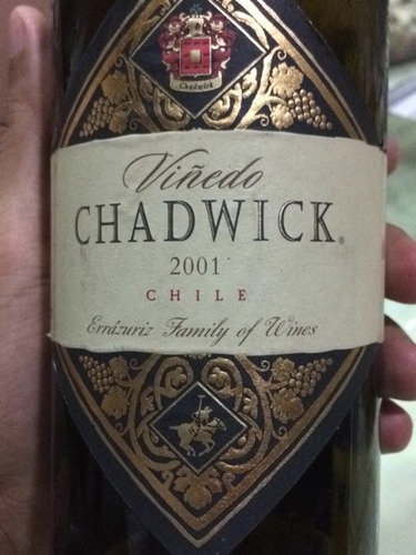 Viñedo Chadwick