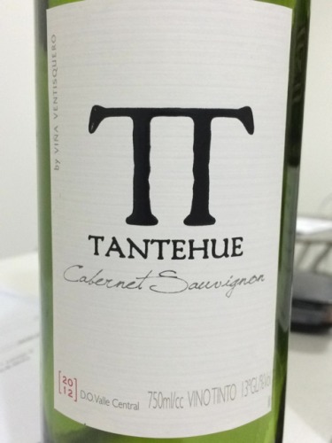 Valle Central Tantehue Chardonnay