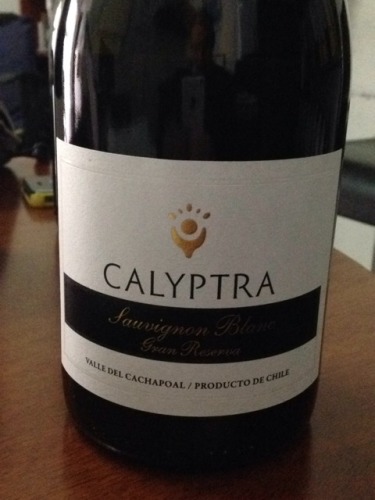 克利皮特拉特酿珍藏长相思干白葡萄酒Calyptra Gran Reserva Sauvignon Blanc