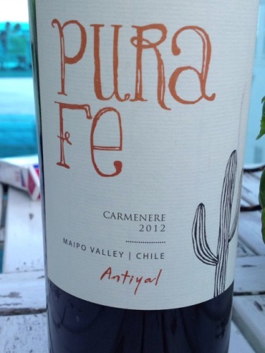 Maipo Valley Purafe Carménère