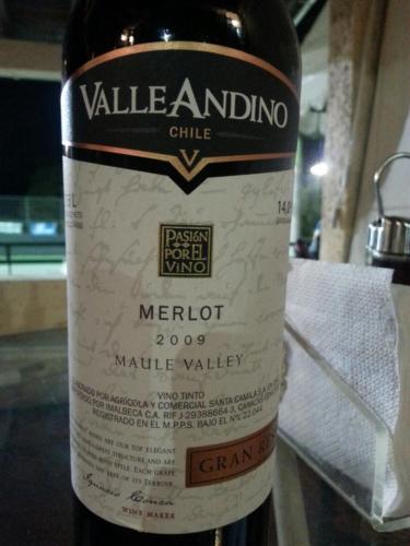 Reserva Especial Maule Valley Merlot